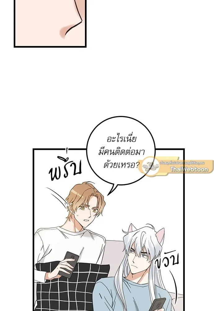 My One and Only Cat ตอนที่ 5551