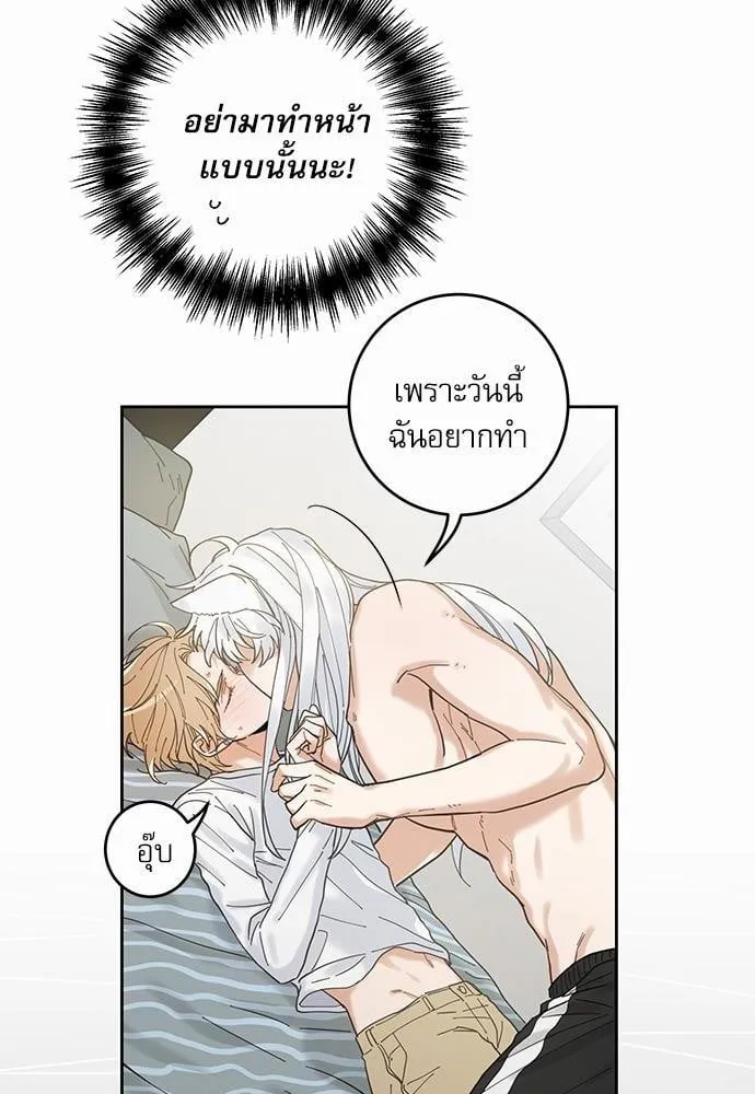 My One and Only Cat ตอนที่ 556 My One and Only Cat ตอนที่ 556