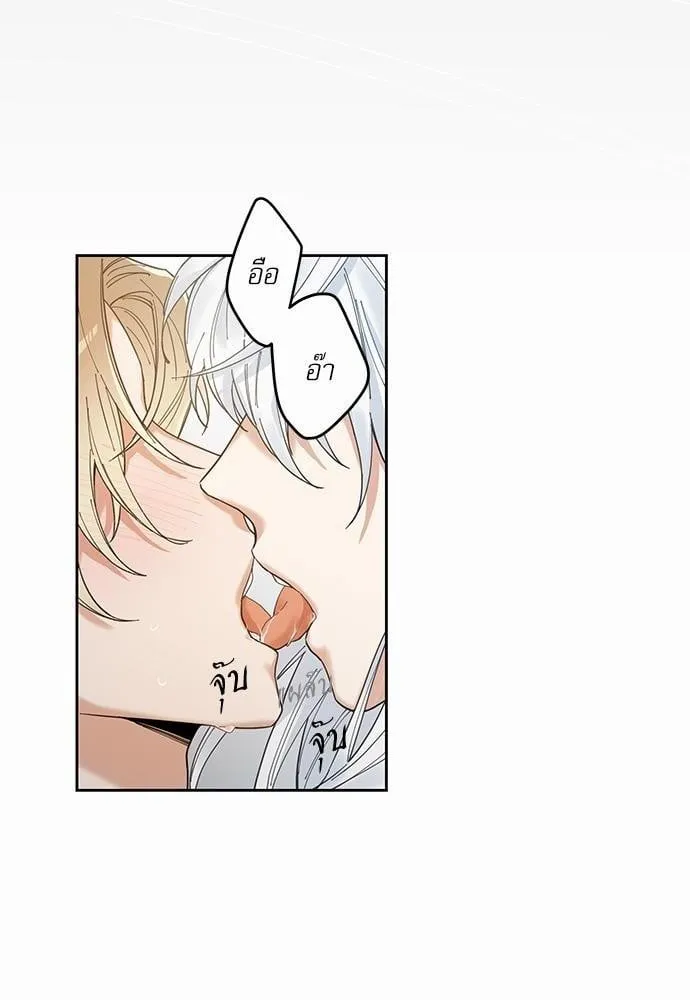 My One and Only Cat ตอนที่ 558 My One and Only Cat ตอนที่ 558