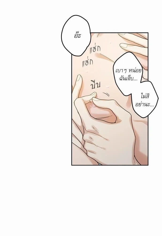 My One and Only Cat ตอนที่ 559 My One and Only Cat ตอนที่ 559