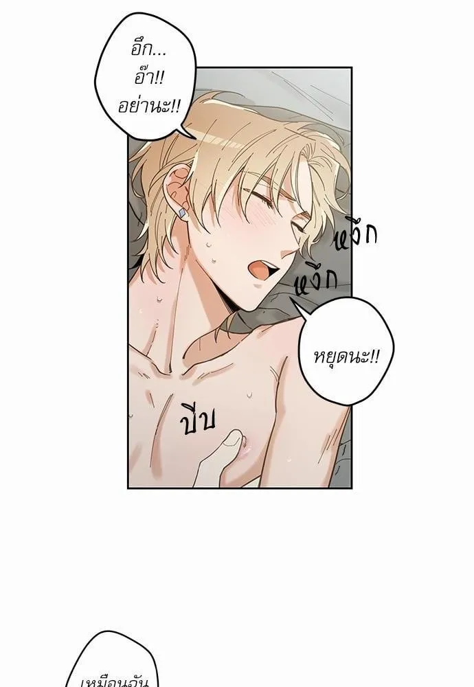 My One and Only Cat ตอนที่ 560 My One and Only Cat ตอนที่ 560