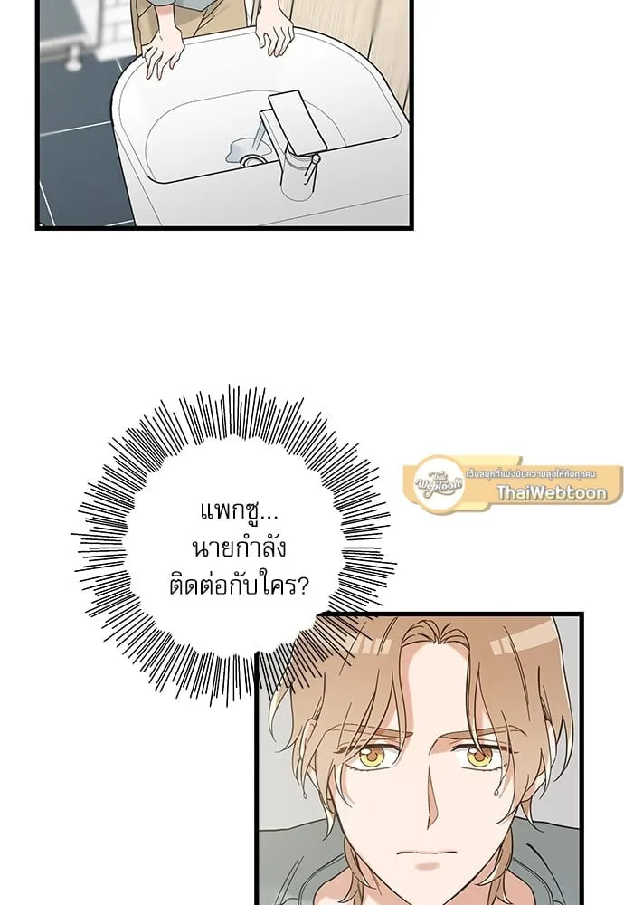 My One and Only Cat ตอนที่ 5603 My One and Only Cat ตอนที่ 5603