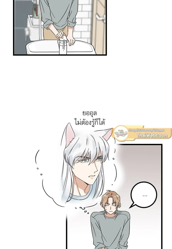 My One and Only Cat ตอนที่ 5607 My One and Only Cat ตอนที่ 5607