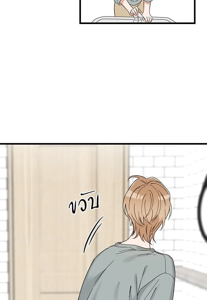 My One and Only Cat ตอนที่ 5608 My One and Only Cat ตอนที่ 5608