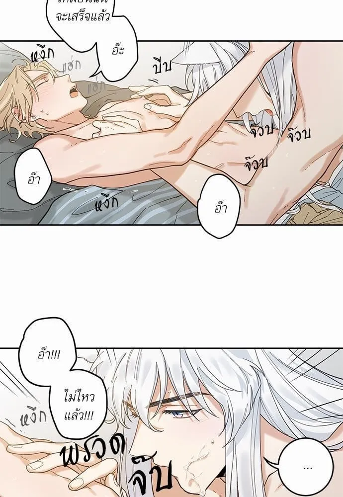 My One and Only Cat ตอนที่ 561 My One and Only Cat ตอนที่ 561