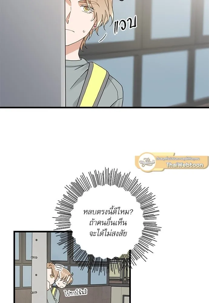 My One and Only Cat ตอนที่ 5613 My One and Only Cat ตอนที่ 5613