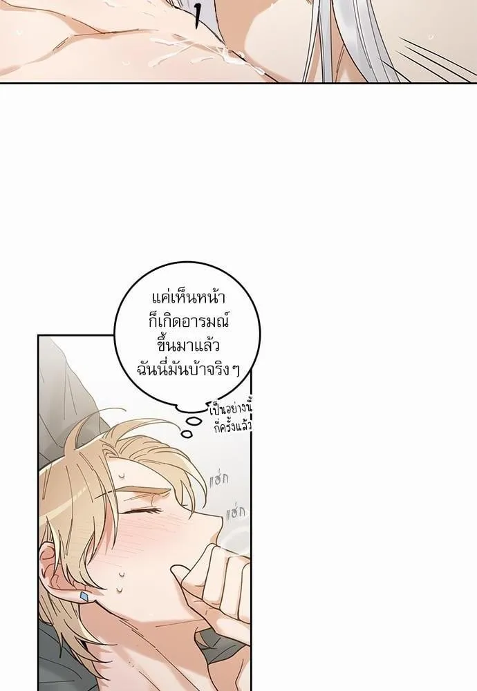 My One and Only Cat ตอนที่ 562 My One and Only Cat ตอนที่ 562