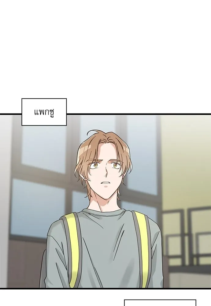 My One and Only Cat ตอนที่ 5621 My One and Only Cat ตอนที่ 5621