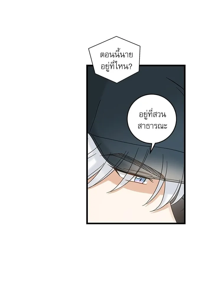 My One and Only Cat ตอนที่ 5631 My One and Only Cat ตอนที่ 5631