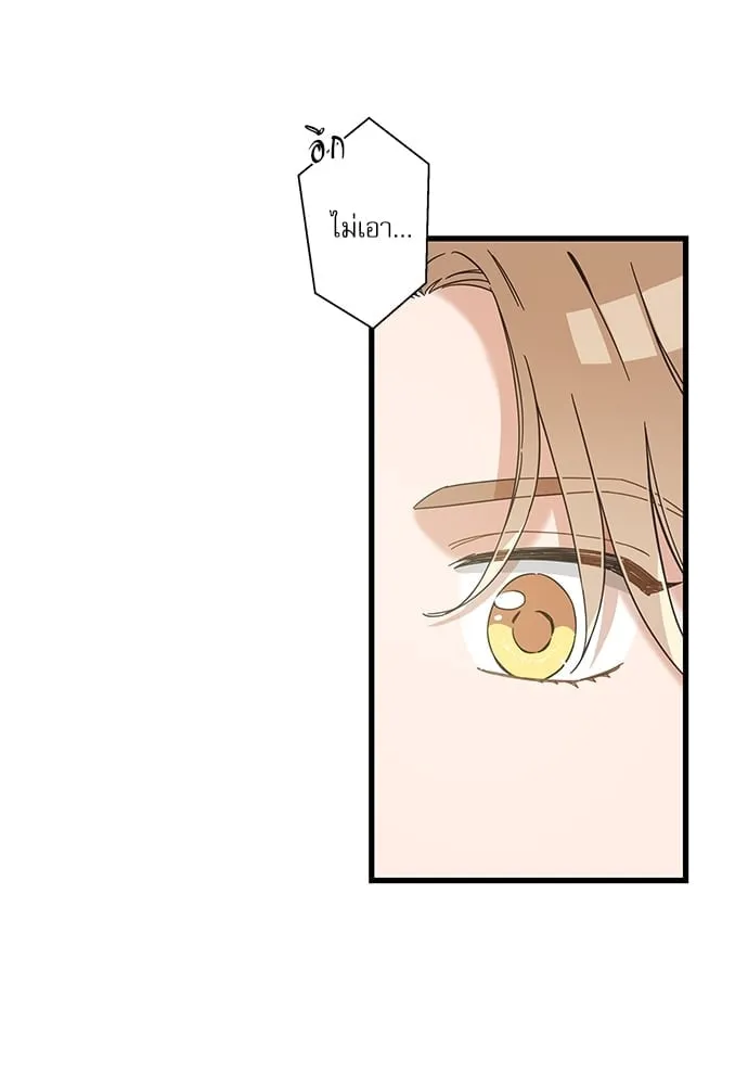 My One and Only Cat ตอนที่ 5633 My One and Only Cat ตอนที่ 5633