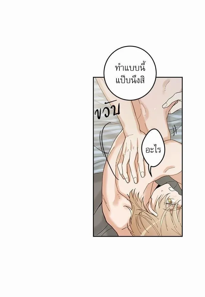 My One and Only Cat ตอนที่ 564 My One and Only Cat ตอนที่ 564