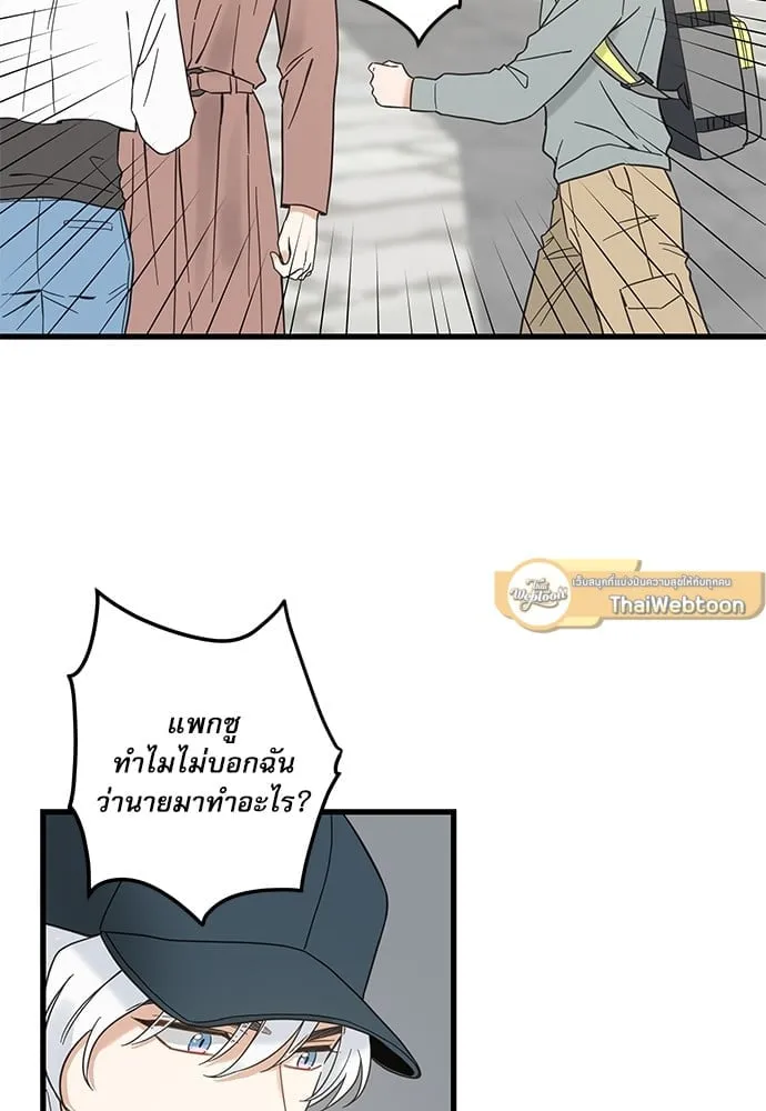 My One and Only Cat ตอนที่ 5644 My One and Only Cat ตอนที่ 5644