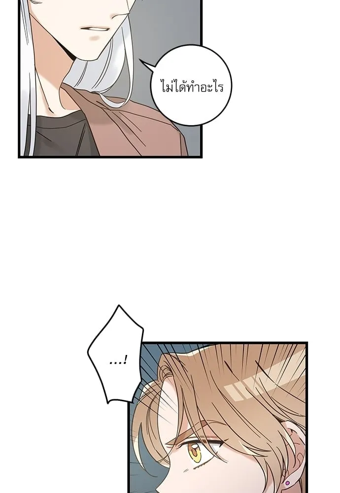 My One and Only Cat ตอนที่ 5645 My One and Only Cat ตอนที่ 5645