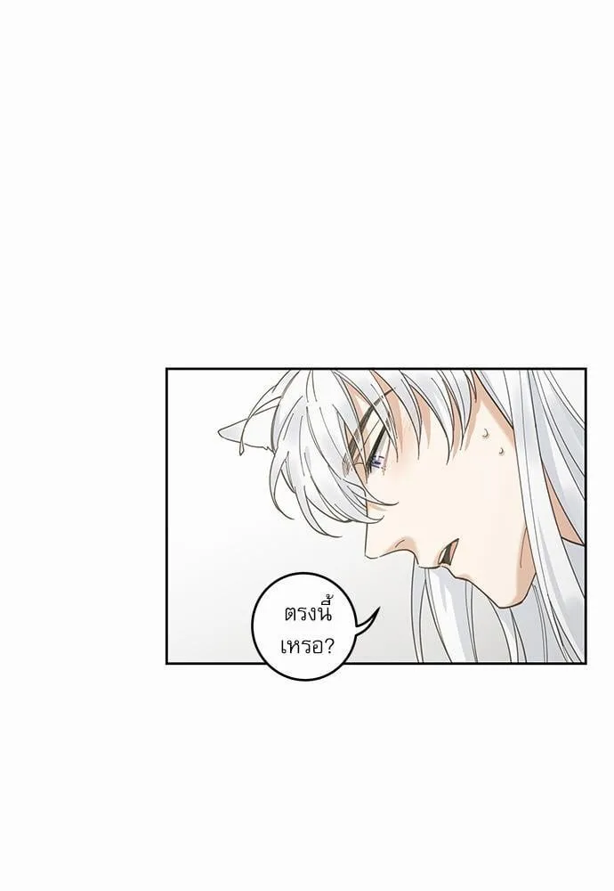 My One and Only Cat ตอนที่ 567 My One and Only Cat ตอนที่ 567