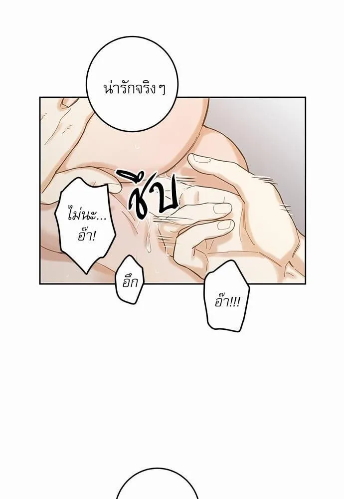 My One and Only Cat ตอนที่ 568 My One and Only Cat ตอนที่ 568