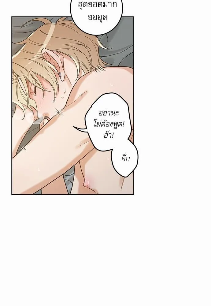 My One and Only Cat ตอนที่ 569 My One and Only Cat ตอนที่ 569