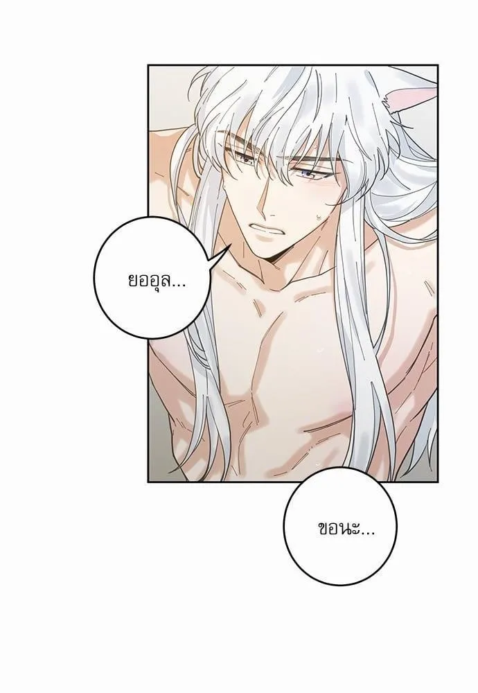 My One and Only Cat ตอนที่ 570 My One and Only Cat ตอนที่ 570