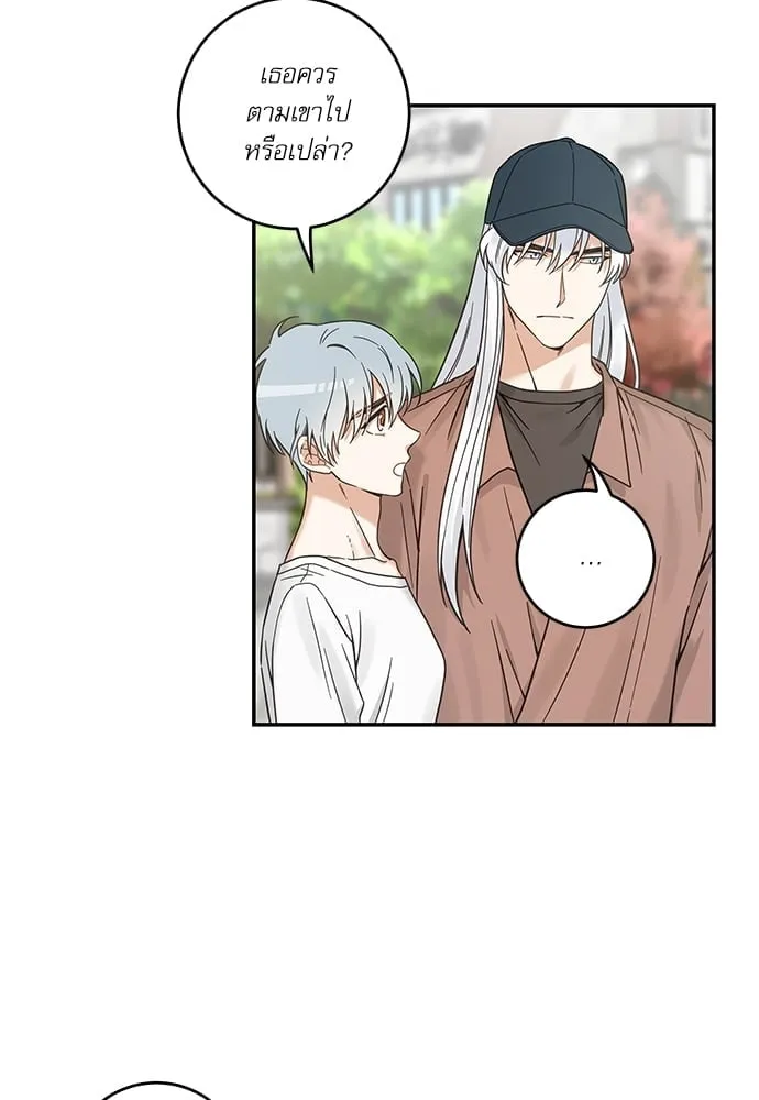 My One and Only Cat ตอนที่ 5706 My One and Only Cat ตอนที่ 5706