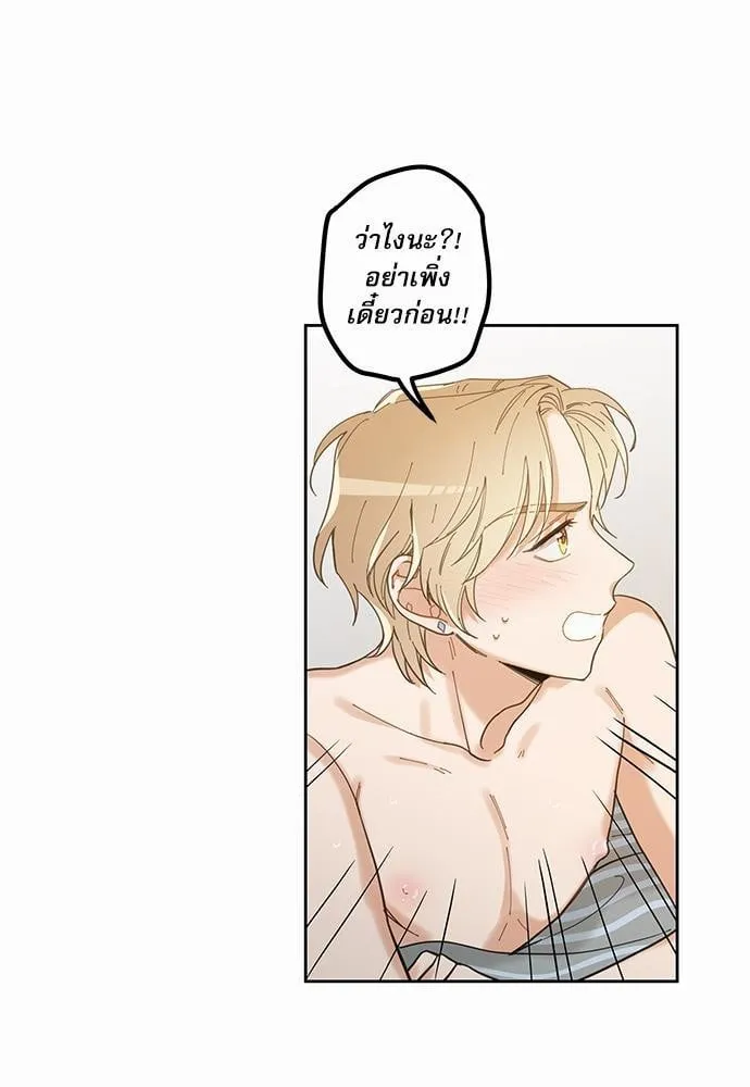 My One and Only Cat ตอนที่ 571 My One and Only Cat ตอนที่ 571