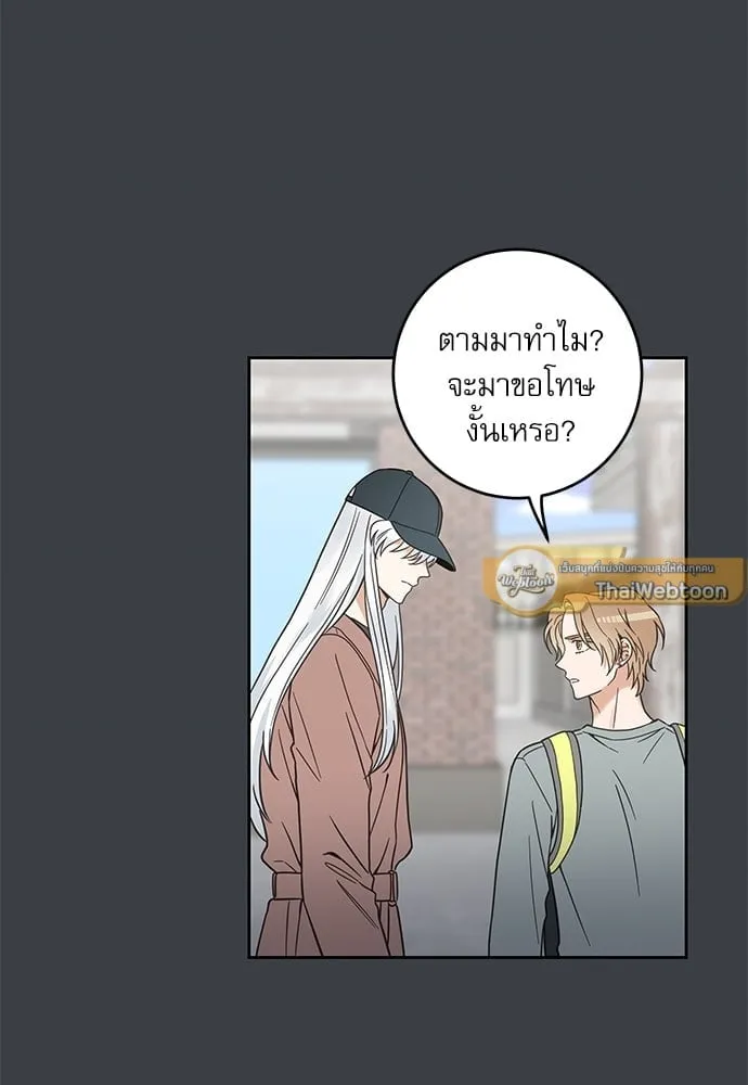 My One and Only Cat ตอนที่ 5723 My One and Only Cat ตอนที่ 5723