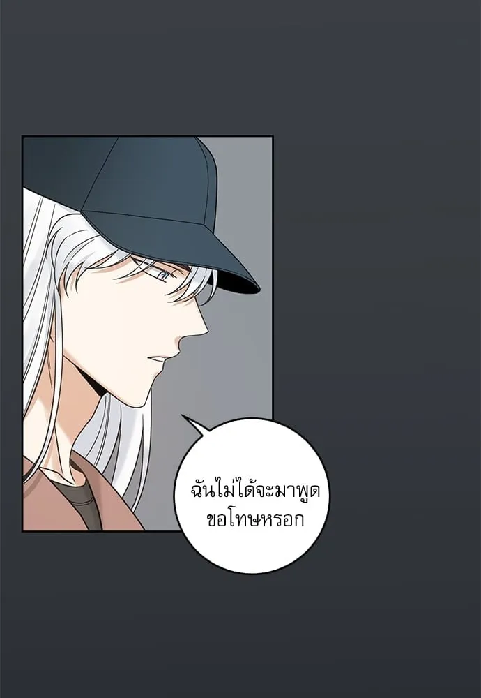 My One and Only Cat ตอนที่ 5724 My One and Only Cat ตอนที่ 5724