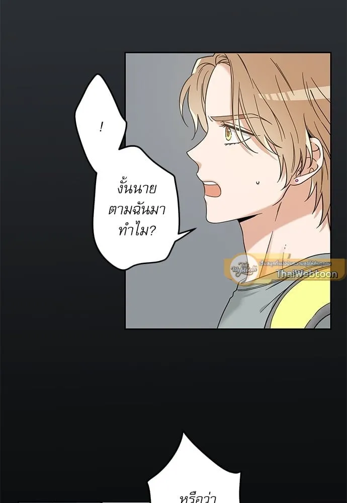 My One and Only Cat ตอนที่ 5725 My One and Only Cat ตอนที่ 5725