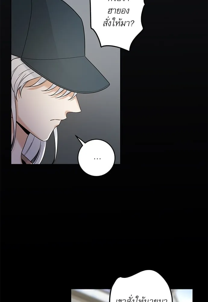 My One and Only Cat ตอนที่ 5726 My One and Only Cat ตอนที่ 5726