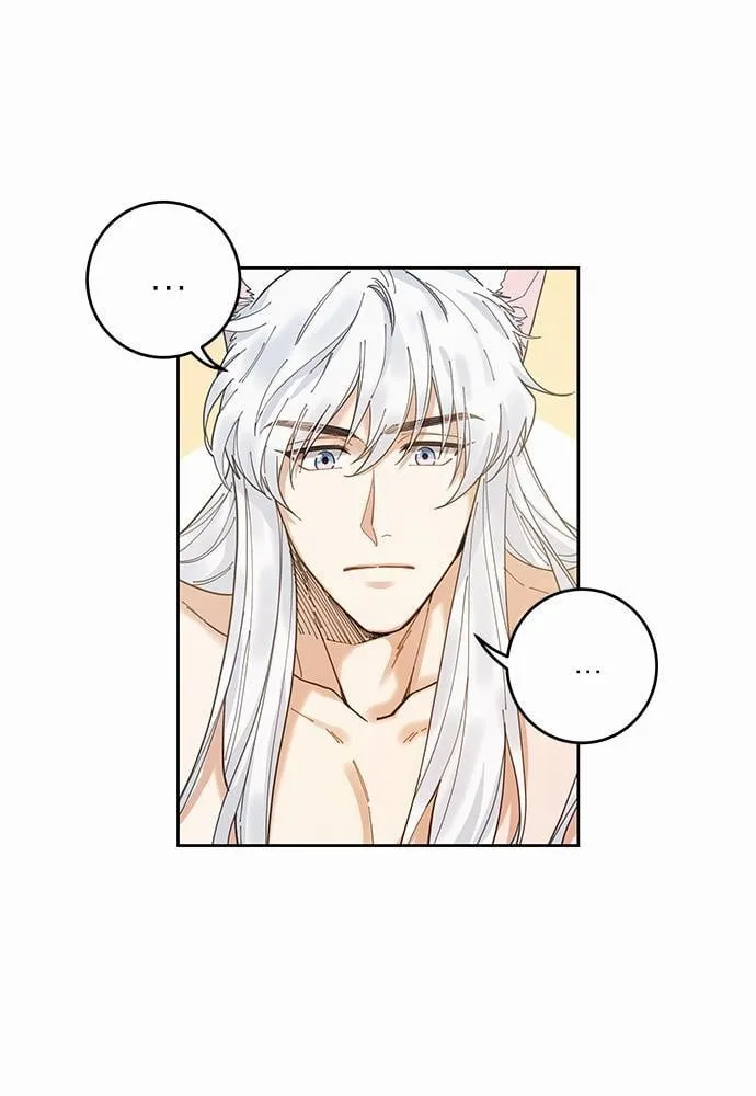 My One and Only Cat ตอนที่ 573 My One and Only Cat ตอนที่ 573