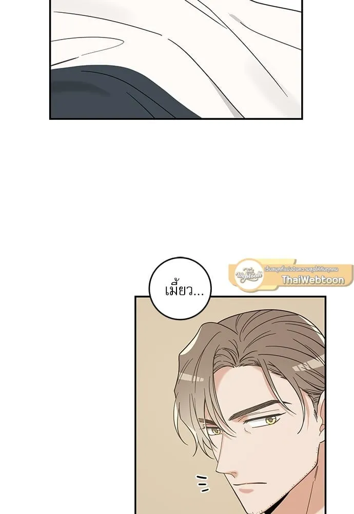 My One and Only Cat ตอนที่ 5744 My One and Only Cat ตอนที่ 5744