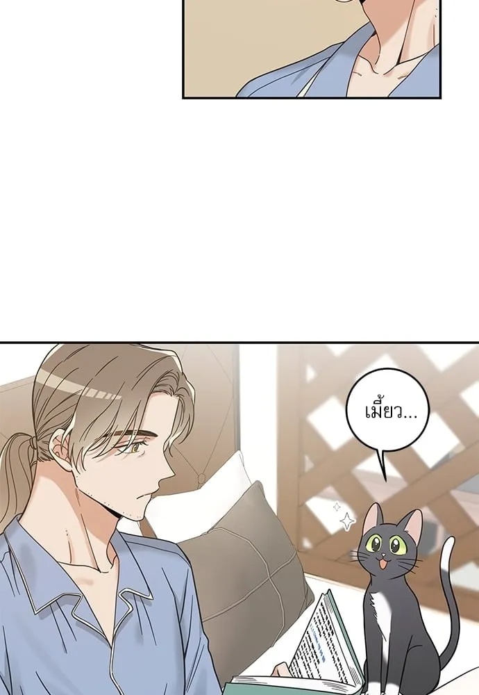 My One and Only Cat ตอนที่ 5745 My One and Only Cat ตอนที่ 5745