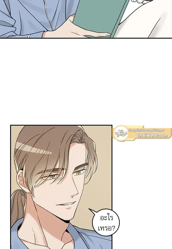 My One and Only Cat ตอนที่ 5746 My One and Only Cat ตอนที่ 5746