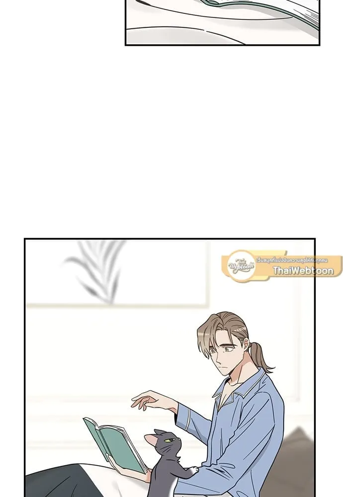 My One and Only Cat ตอนที่ 5748 My One and Only Cat ตอนที่ 5748