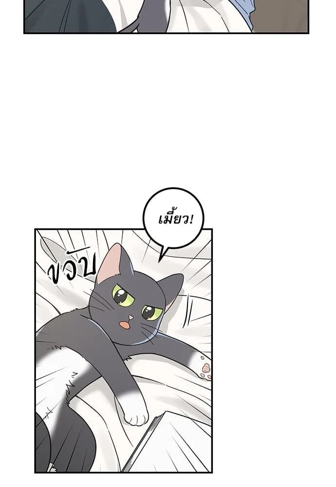 My One and Only Cat ตอนที่ 5749 My One and Only Cat ตอนที่ 5749