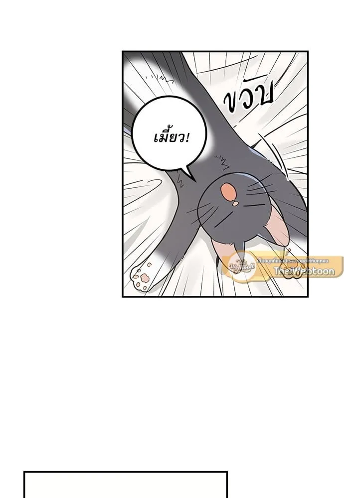 My One and Only Cat ตอนที่ 5750 My One and Only Cat ตอนที่ 5750