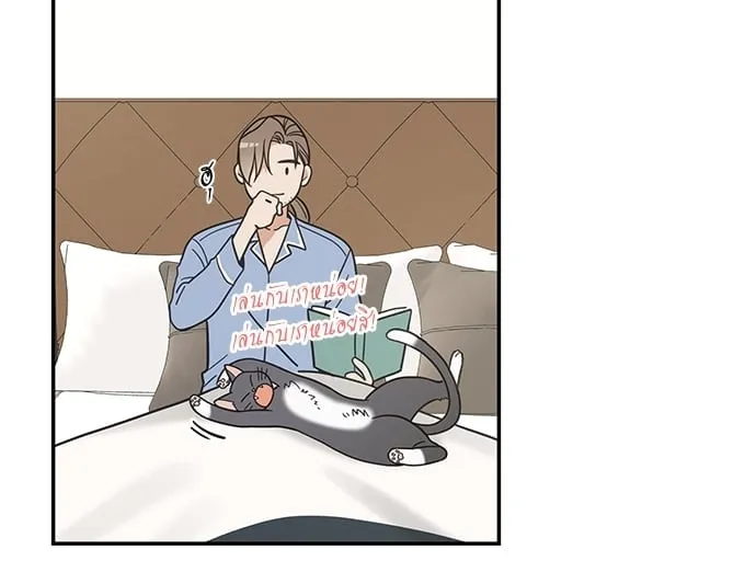 My One and Only Cat ตอนที่ 5751 My One and Only Cat ตอนที่ 5751