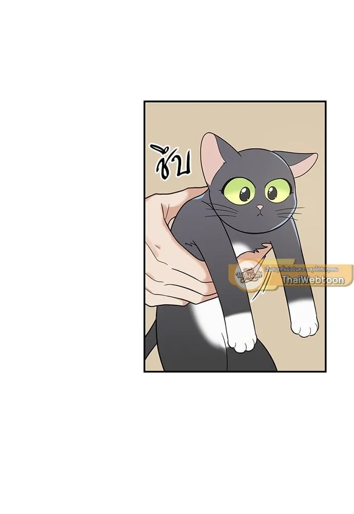 My One and Only Cat ตอนที่ 5752 My One and Only Cat ตอนที่ 5752