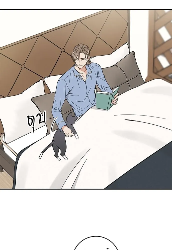 My One and Only Cat ตอนที่ 5753 My One and Only Cat ตอนที่ 5753