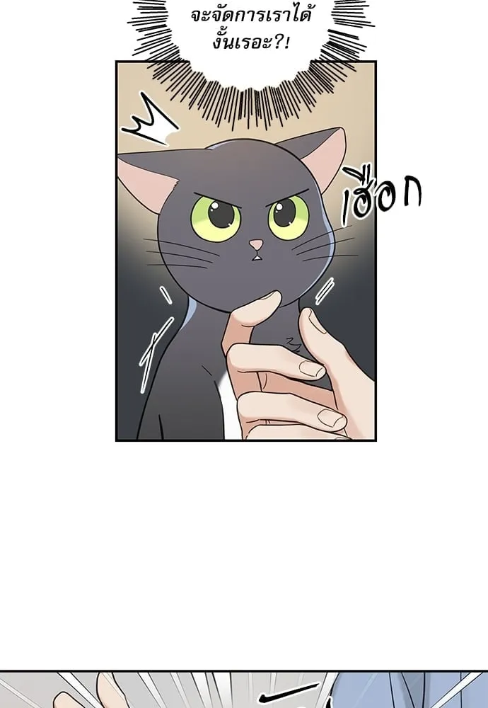 My One and Only Cat ตอนที่ 5755 My One and Only Cat ตอนที่ 5755