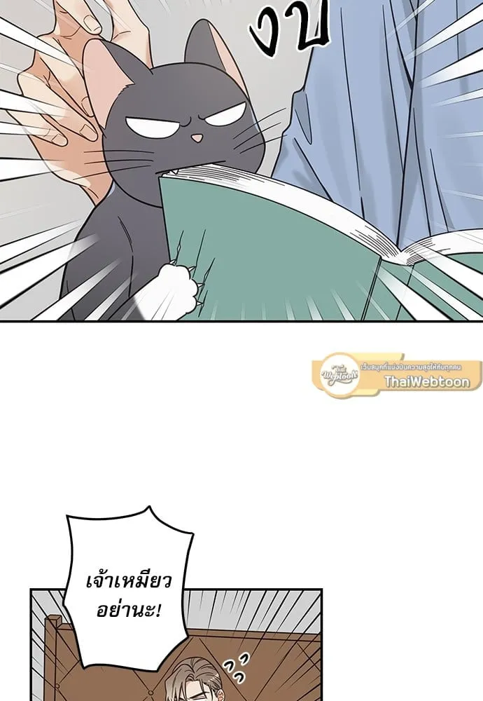 My One and Only Cat ตอนที่ 5756 My One and Only Cat ตอนที่ 5756