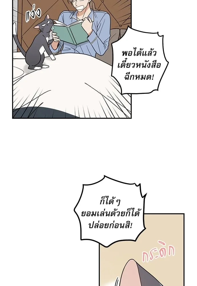 My One and Only Cat ตอนที่ 5757 My One and Only Cat ตอนที่ 5757