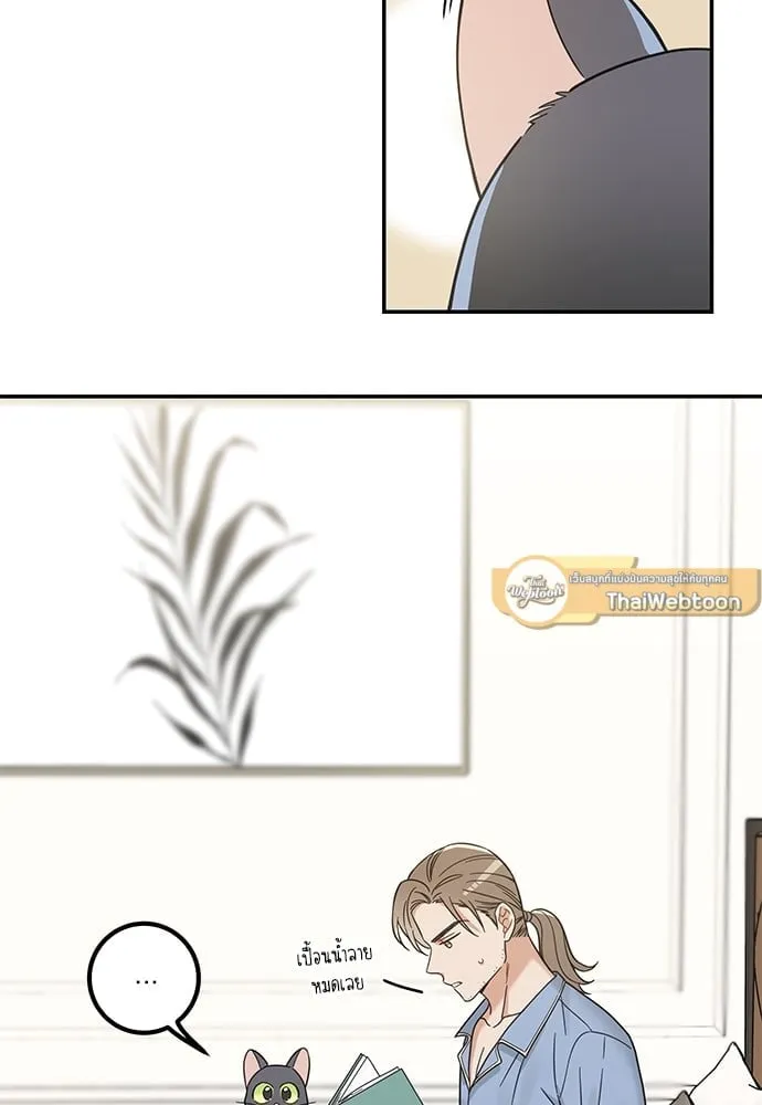 My One and Only Cat ตอนที่ 5758 My One and Only Cat ตอนที่ 5758
