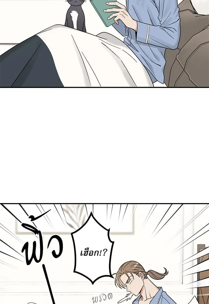 My One and Only Cat ตอนที่ 5759 My One and Only Cat ตอนที่ 5759