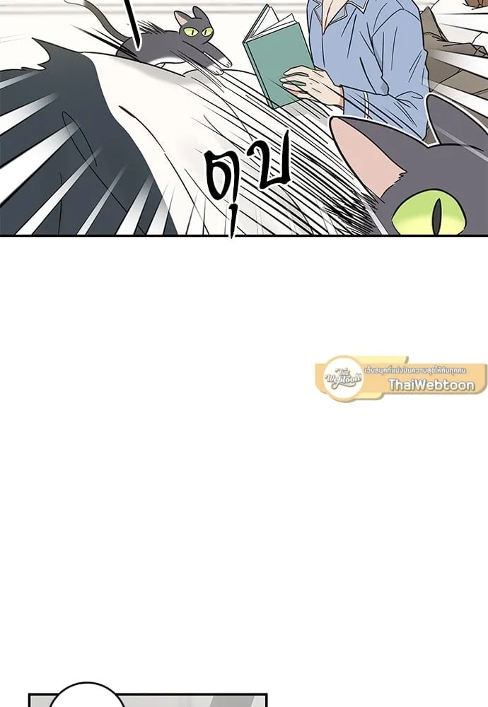 My One and Only Cat ตอนที่ 5760 My One and Only Cat ตอนที่ 5760