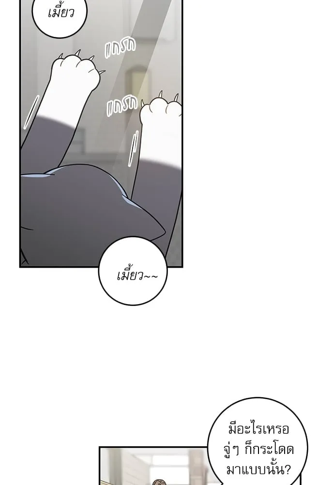 My One and Only Cat ตอนที่ 5761 My One and Only Cat ตอนที่ 5761