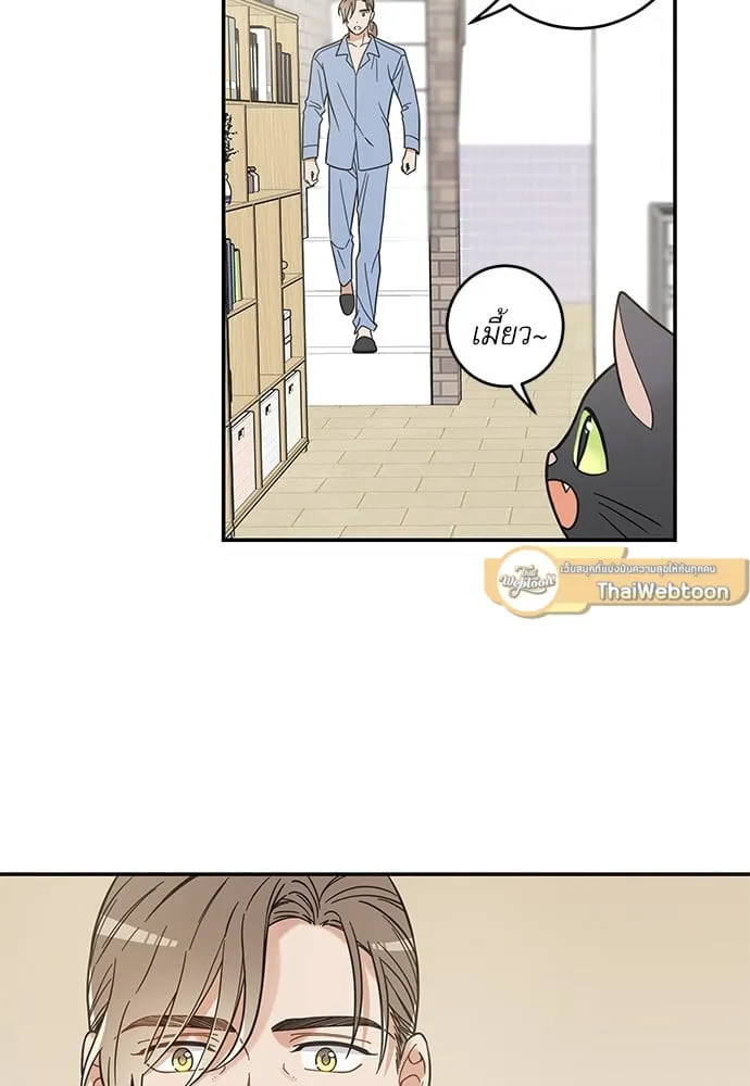 My One and Only Cat ตอนที่ 5762 My One and Only Cat ตอนที่ 5762