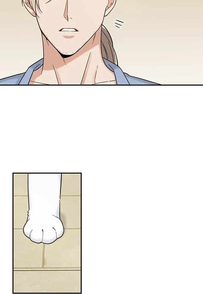 My One and Only Cat ตอนที่ 5763 My One and Only Cat ตอนที่ 5763