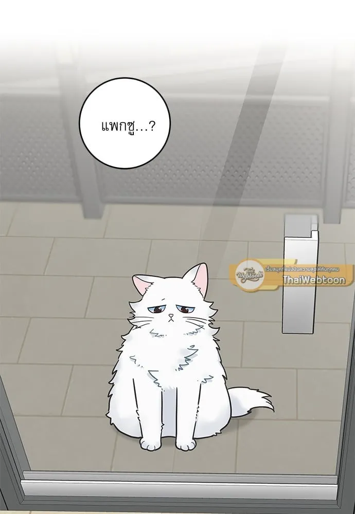 My One and Only Cat ตอนที่ 5764 My One and Only Cat ตอนที่ 5764