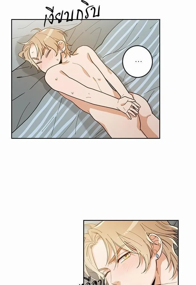 My One and Only Cat ตอนที่ 577 My One and Only Cat ตอนที่ 577