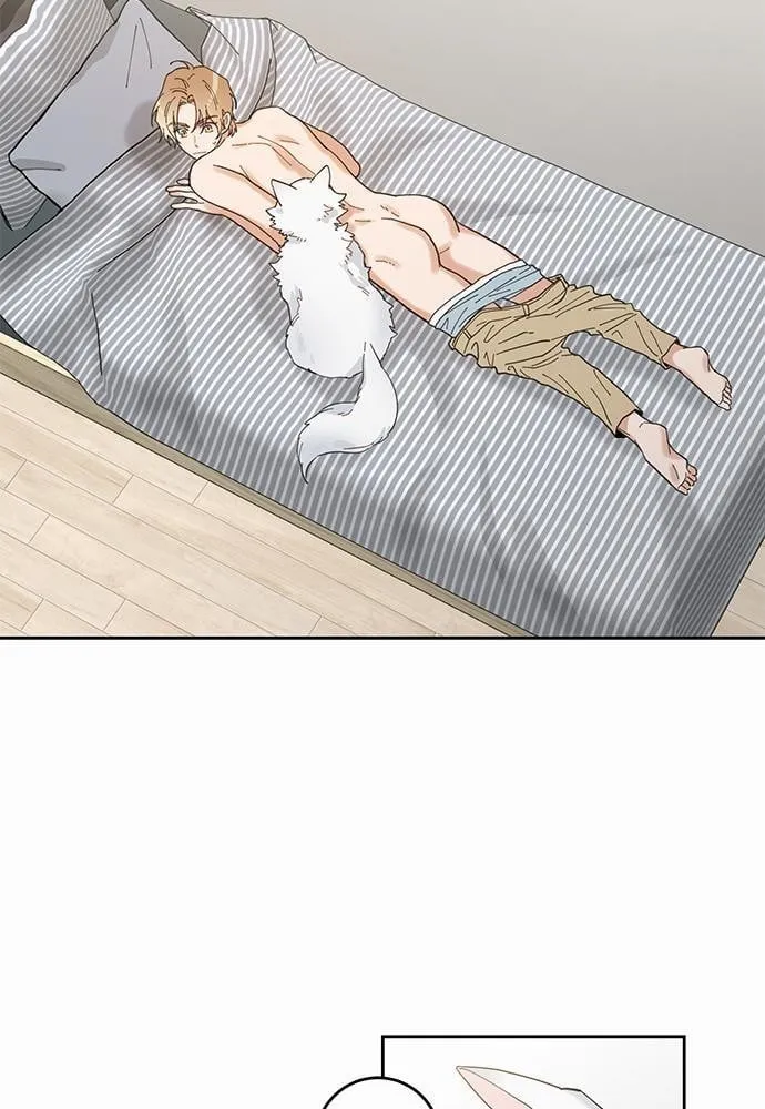 My One and Only Cat ตอนที่ 579 My One and Only Cat ตอนที่ 579