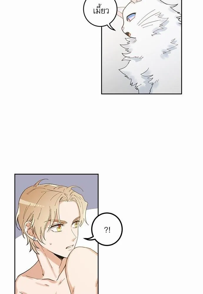 My One and Only Cat ตอนที่ 580 My One and Only Cat ตอนที่ 580